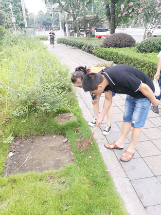 红火蚁咬伤休克严重吗,红火蚁咬伤后急救