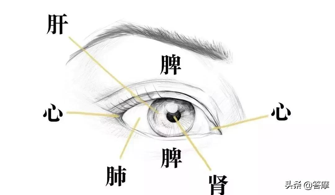 耳穴放血疗法麦粒肿的一大克星,耳穴治疗眼睛的穴位