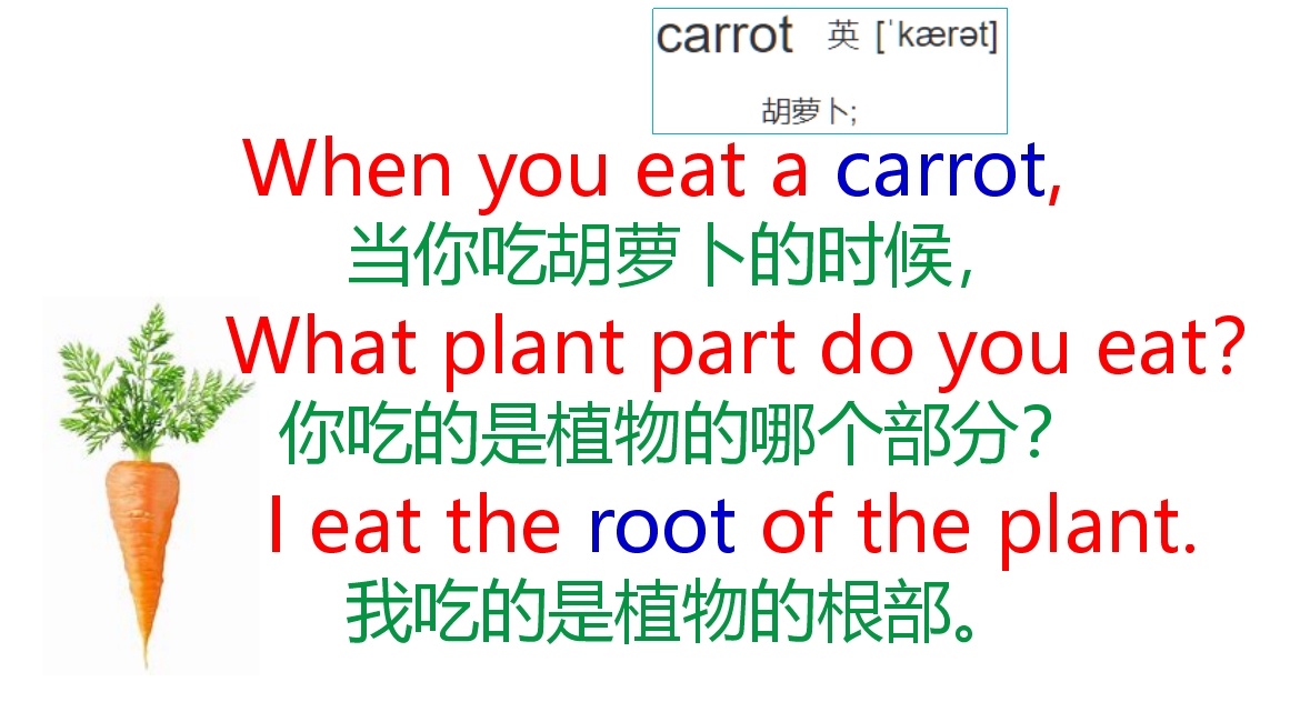 口语卡片12张！英语学习必备！值得收藏