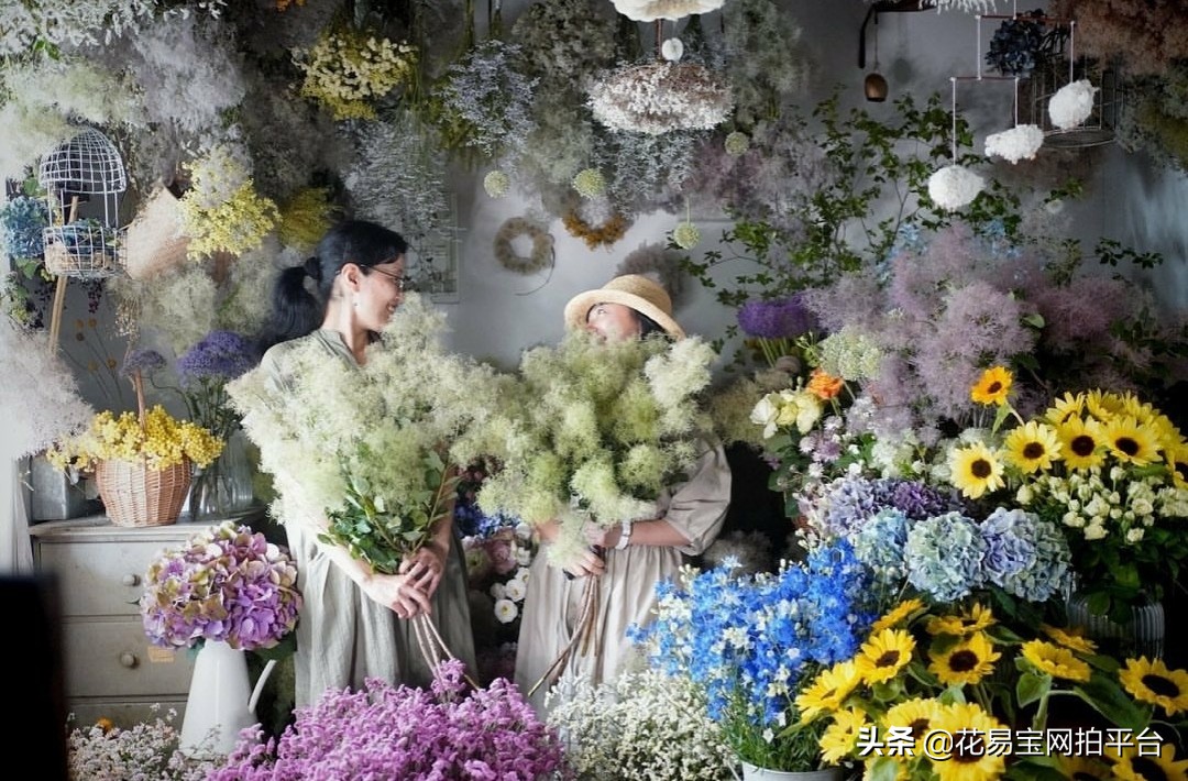 开花店必须知道的花语,开鲜花批发站点哪些点比较重要