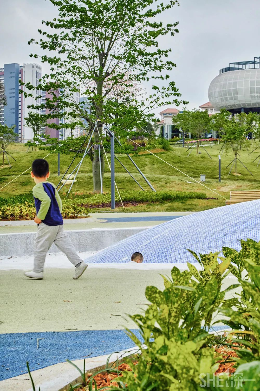 龙华新公园在哪里,深圳龙华区免费的公园