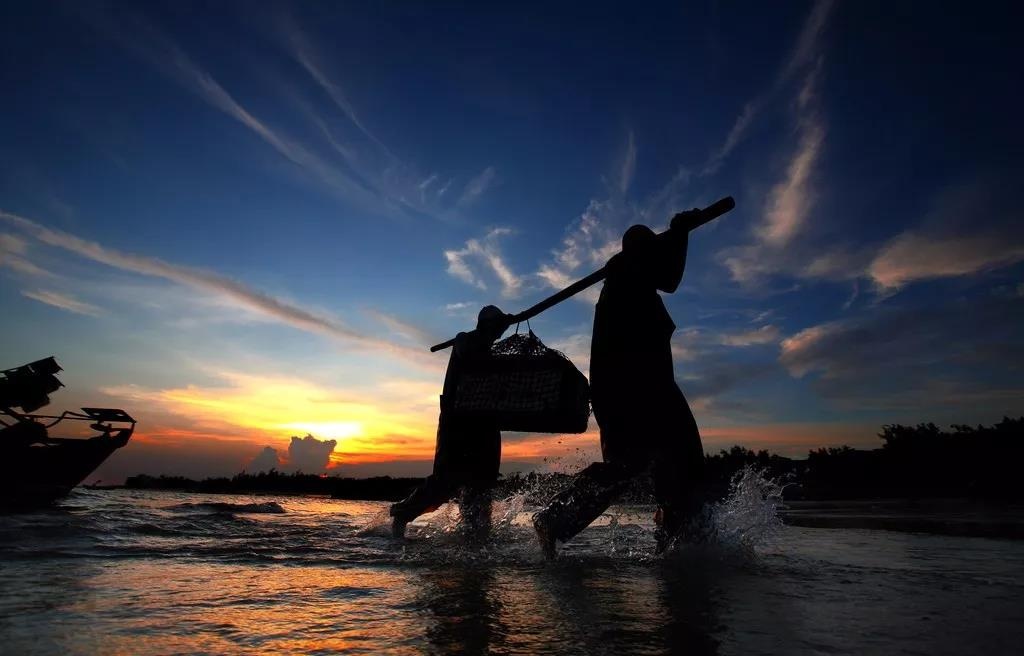 渔家女事件,渔家女海鲜视频