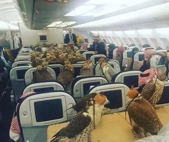 迪拜到底多有钱呢,迪拜土豪来中国给小费