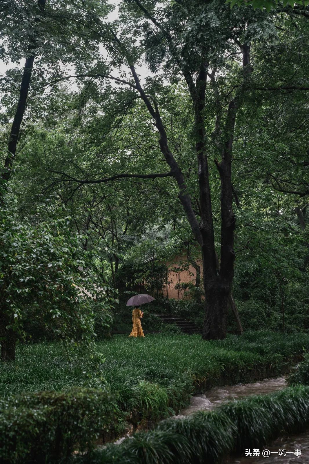 摄影12人组,成都拍人像摄影的大神