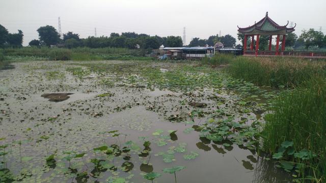 中山崖口美食推荐,崖口村煲仔饭云吞团购