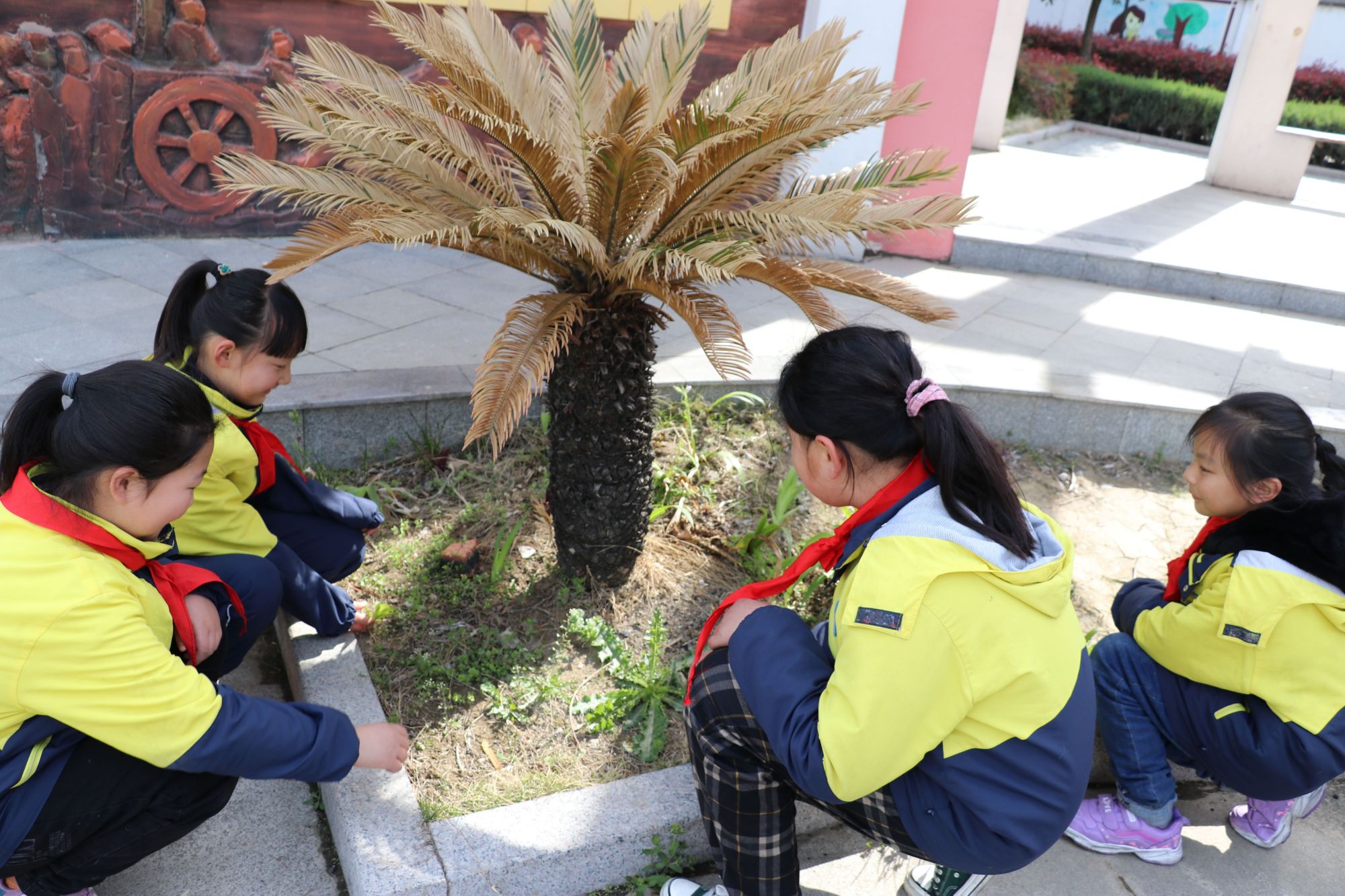 阜南9岁小孩,阜南第九小学校的视频