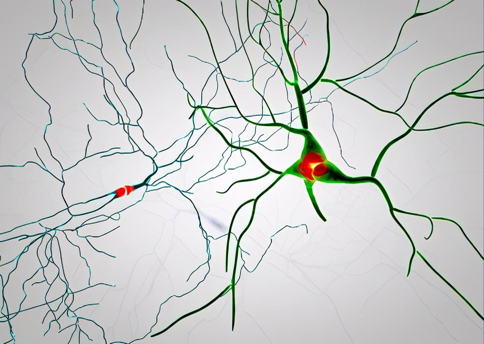 多巴胺阈值：从性到商业社会，你的愉悦并非来自快感，而是新奇