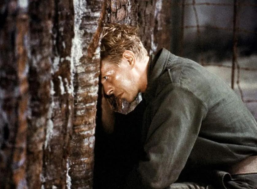 跨越影史的禁忌之作,4位大师主演,时隔40年,我还是忘不了它