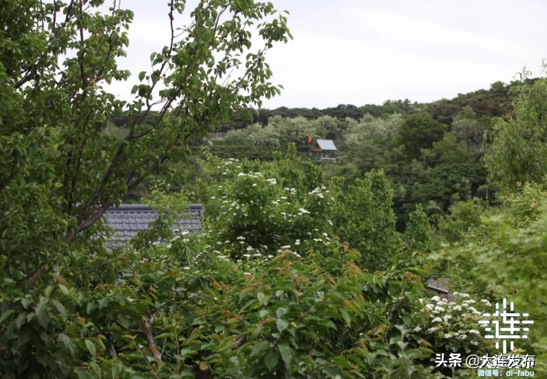 一个极美的露营地,槐之乡露营地