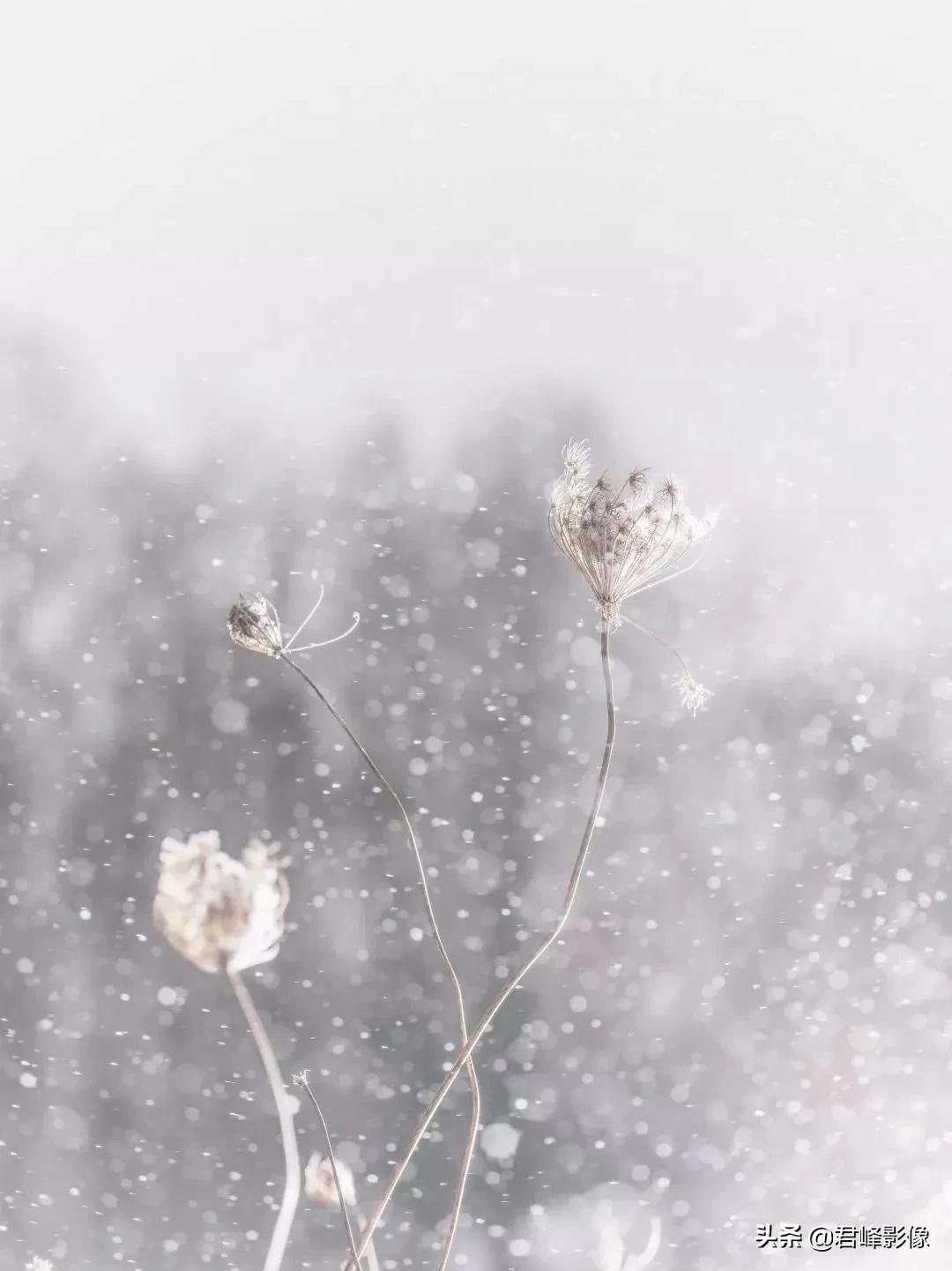 哈苏镜头就是不一样的感觉,哈苏镜头感