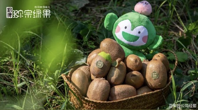 sfe上海国际连锁加盟展怎么购票,sfe上海国际加盟展在哪个馆