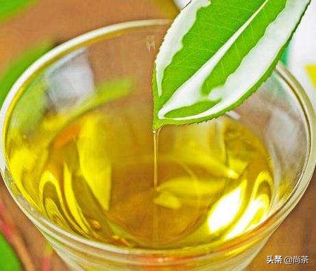 茶叶树和山茶油树的区别是什么,山茶花和茶油树区别图片大全