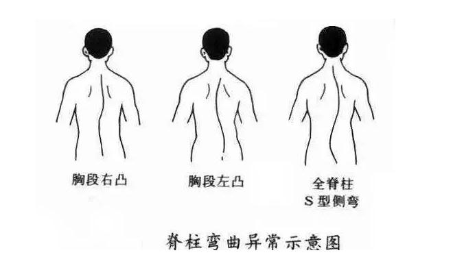健康科普权威性原则,健康科普什么比较权威