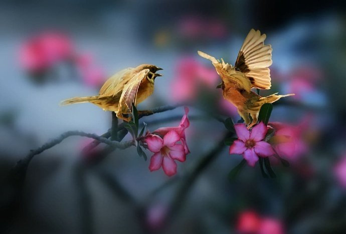 苏东坡趣闻全集,苏东坡趣闻趣事