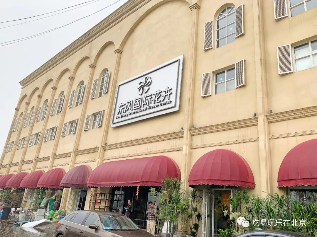 北京花市攻略大全,北京最美赏花景点