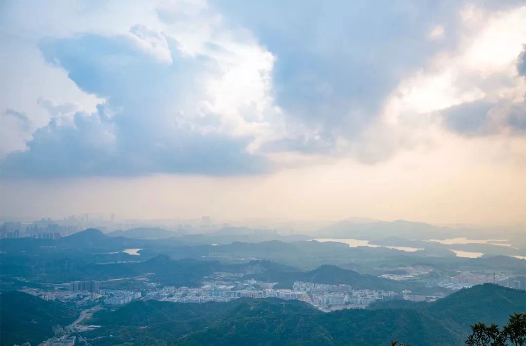 坐一趟4号线，打卡深圳19个热门游玩地！