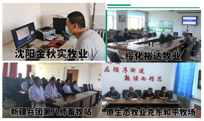 法国诗华达明博士马翀博士为您分享乳房炎最佳治疗方案