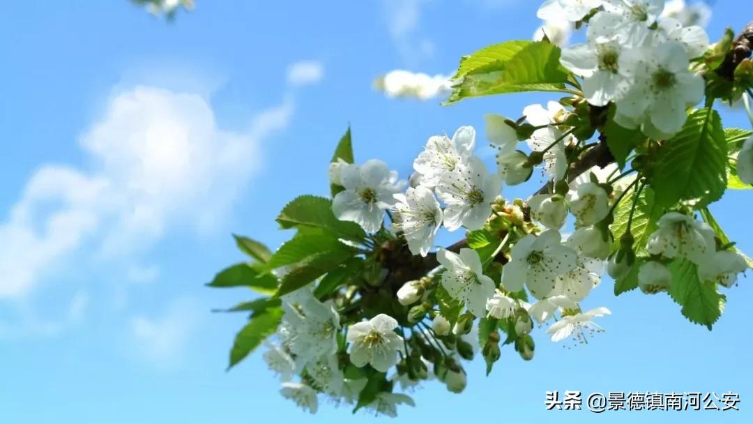 愿你过得好的诗词,苦尽甘来不负年华不负卿什么意思