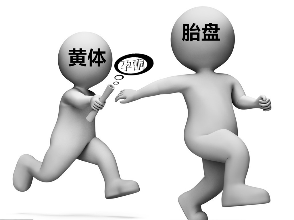 孕五周hcg和孕酮正常值,头大看什么数值