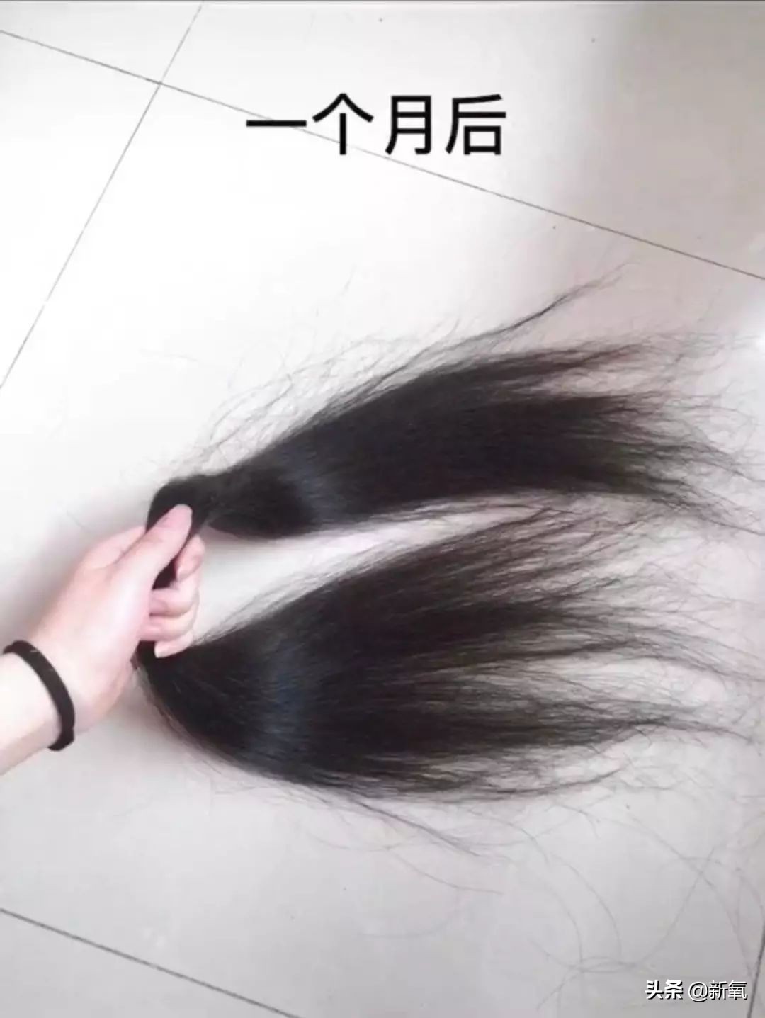 袁咏仪短发发型图片大全,袁咏仪发型短发