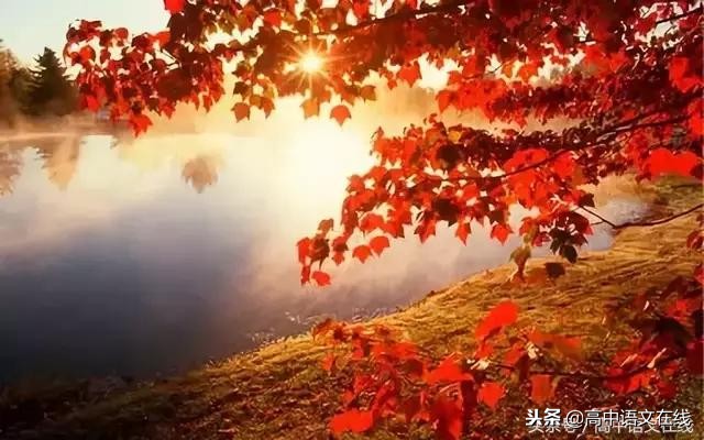 高考易错成语归类记忆,高考易错成语100个必考