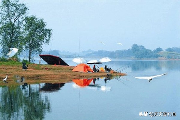 自然水域钓大鱼竿子怎么选择,自然水域野钓鲤鱼技巧及方法