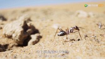 被吹爆的神片,被吹上天的神作