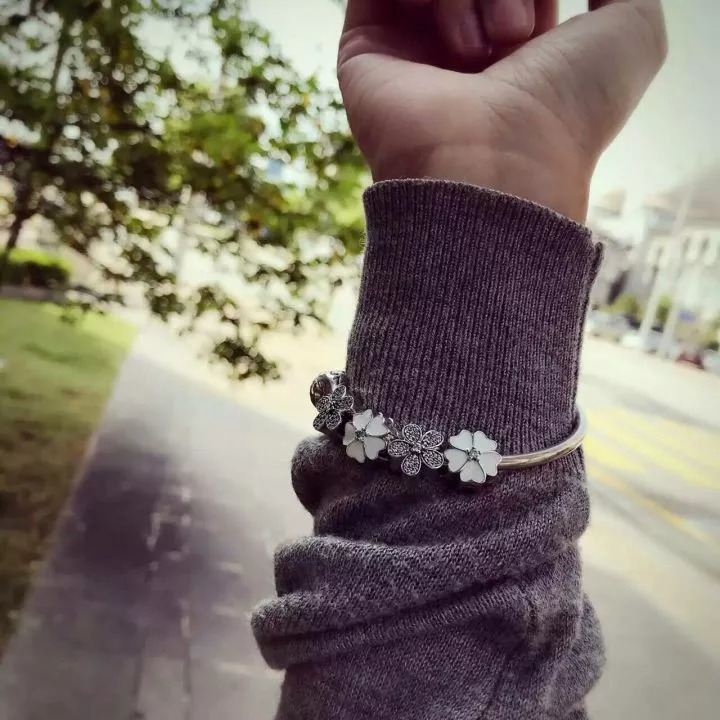 潘多拉pandora上海仲盛店,潘多拉pandora珠宝