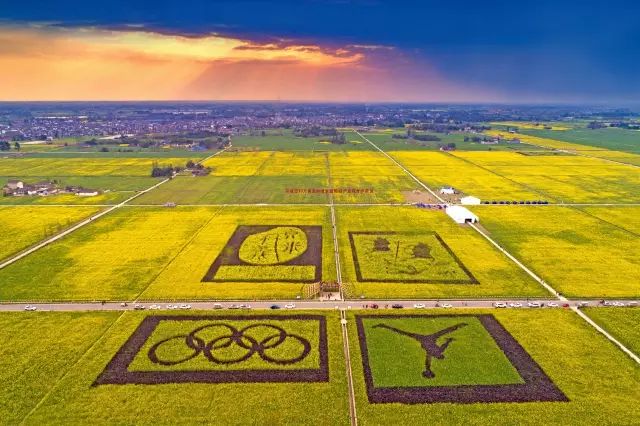 半个月后成都即将美翻全国，17处美景玩转整个春天！