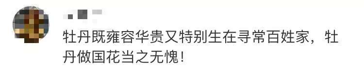 中国花协推荐牡丹为国花评述,中国花卉协会牡丹国花