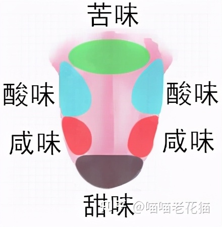 心理学的生物学基础知识,生物心理学知识书籍