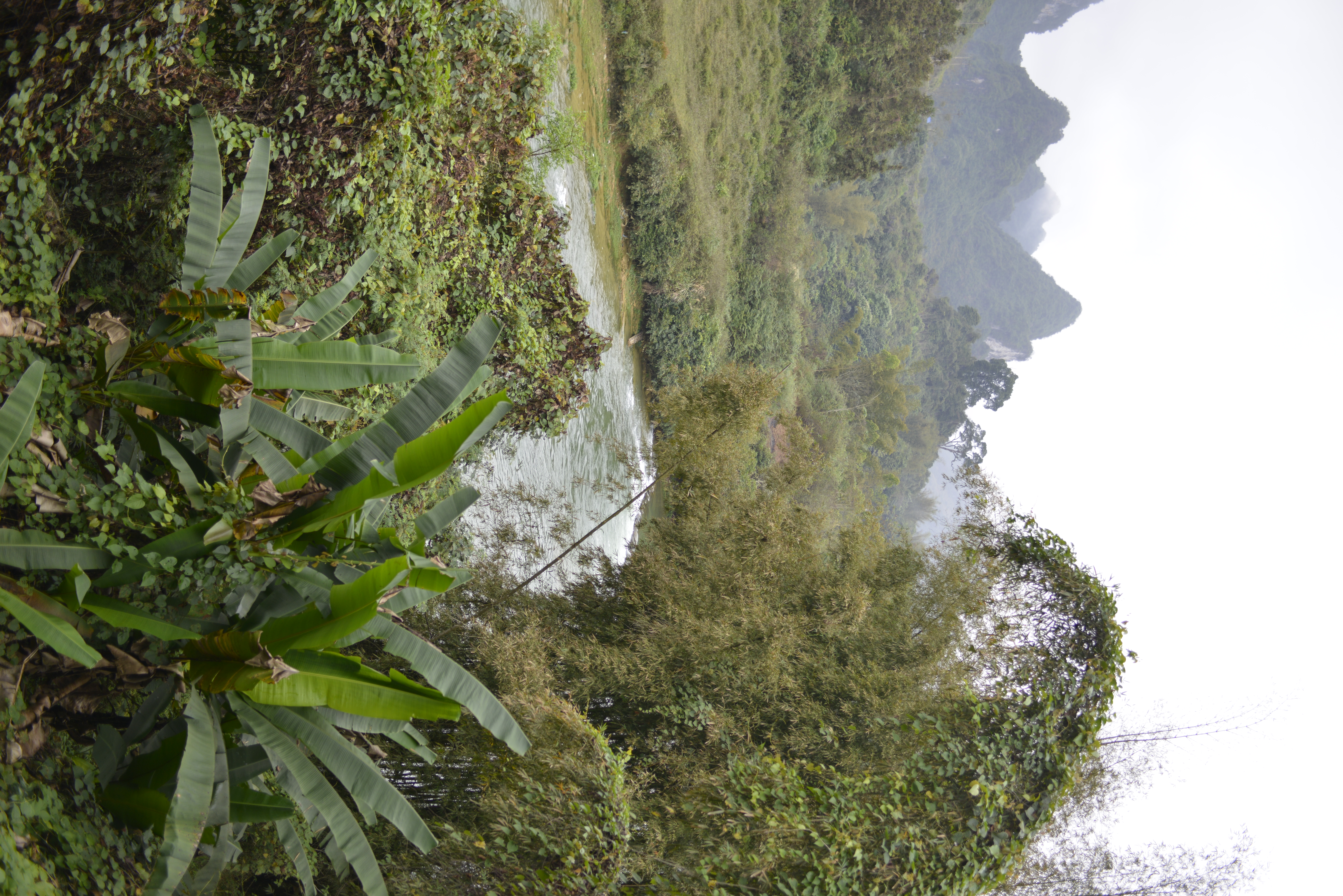 巴马长寿老人有什么说法,广西巴马长寿的真实原因