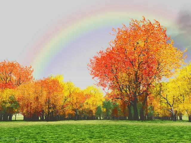 韩系车质量到底咋样起亚kx3傲跑,起亚奕跑车质量怎样