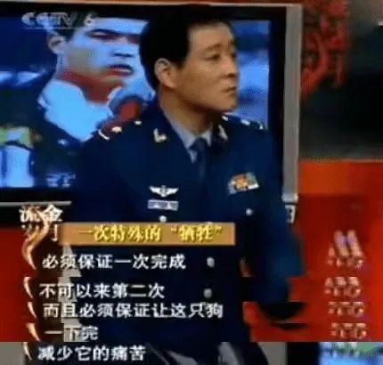 功勋军犬为拍戏被炸死片段,为了电影而被炸成碎片的军犬