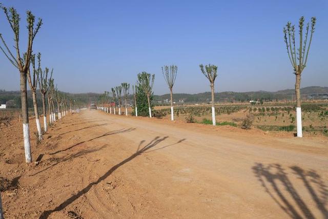 浠ユ按娑﹀煄,娑﹀煄娌抽亾娌荤悊宸ョ▼