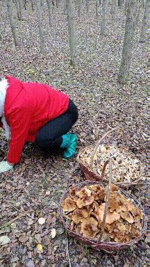 终于下班了搞笑gif图片,搞笑gif上班的时候打瞌睡尴尬了吧