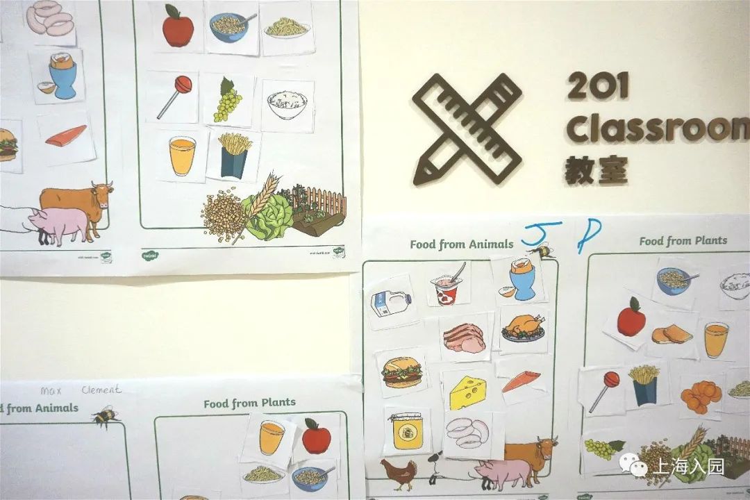 上海幼儿园入学条件2022新政策,上海哪些民办幼儿园可以直升小学