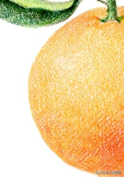 橘子彩铅手绘过程详解,超详细的彩铅橘子教程