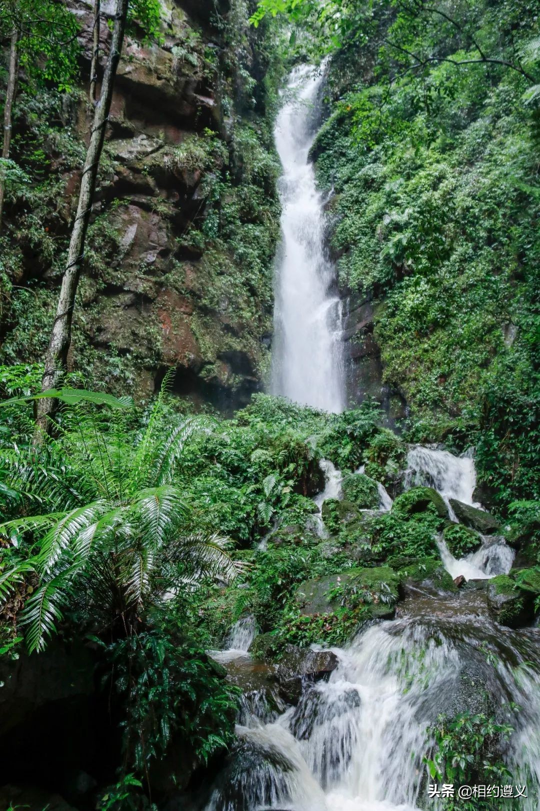 赤水大瀑布 侏罗纪公园 (贵州赤水侏罗纪公园攻略)