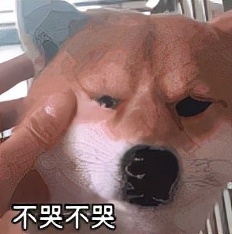 留学生过海关不能带什么,留学生回国海关行李怎么办