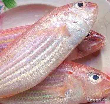 海鲜大荟萃,常见贝壳类海鲜