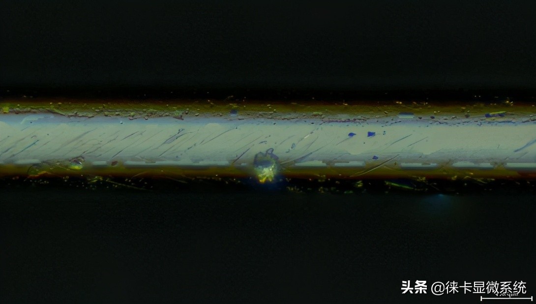 徕卡半导体显微镜,徕卡扫描电子显微镜