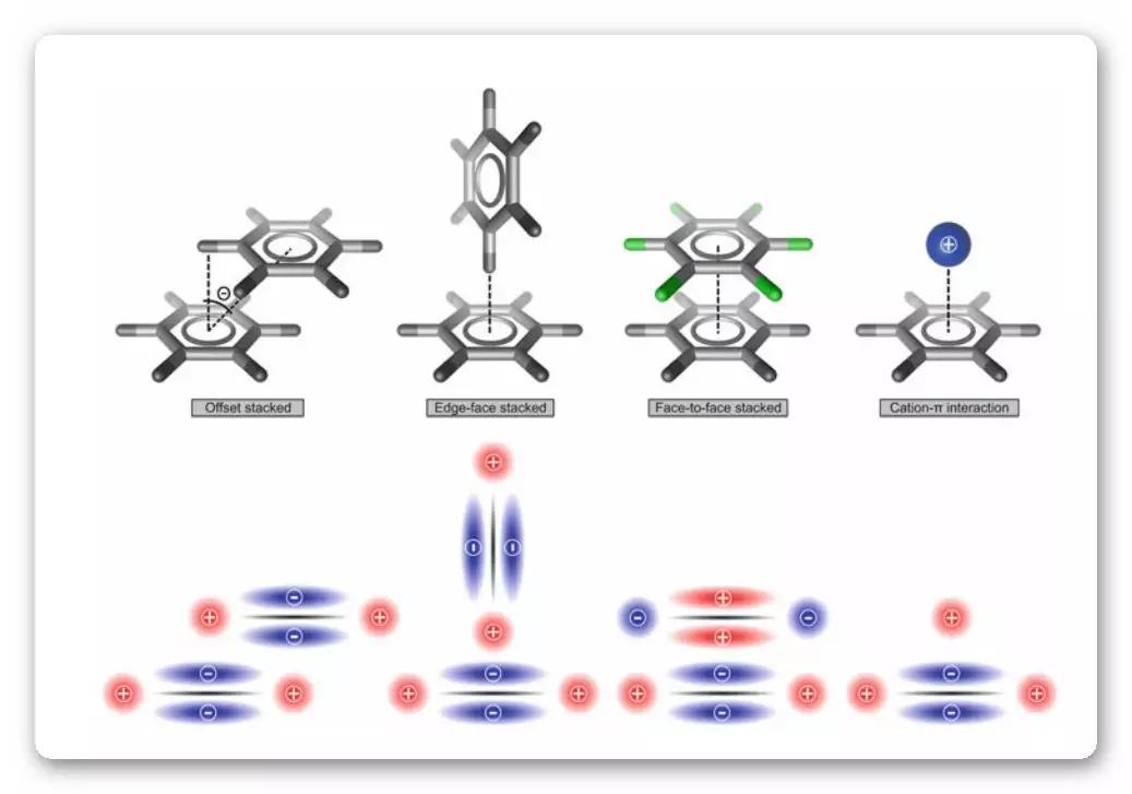 受体配体互作,典型受体配体有哪些类型
