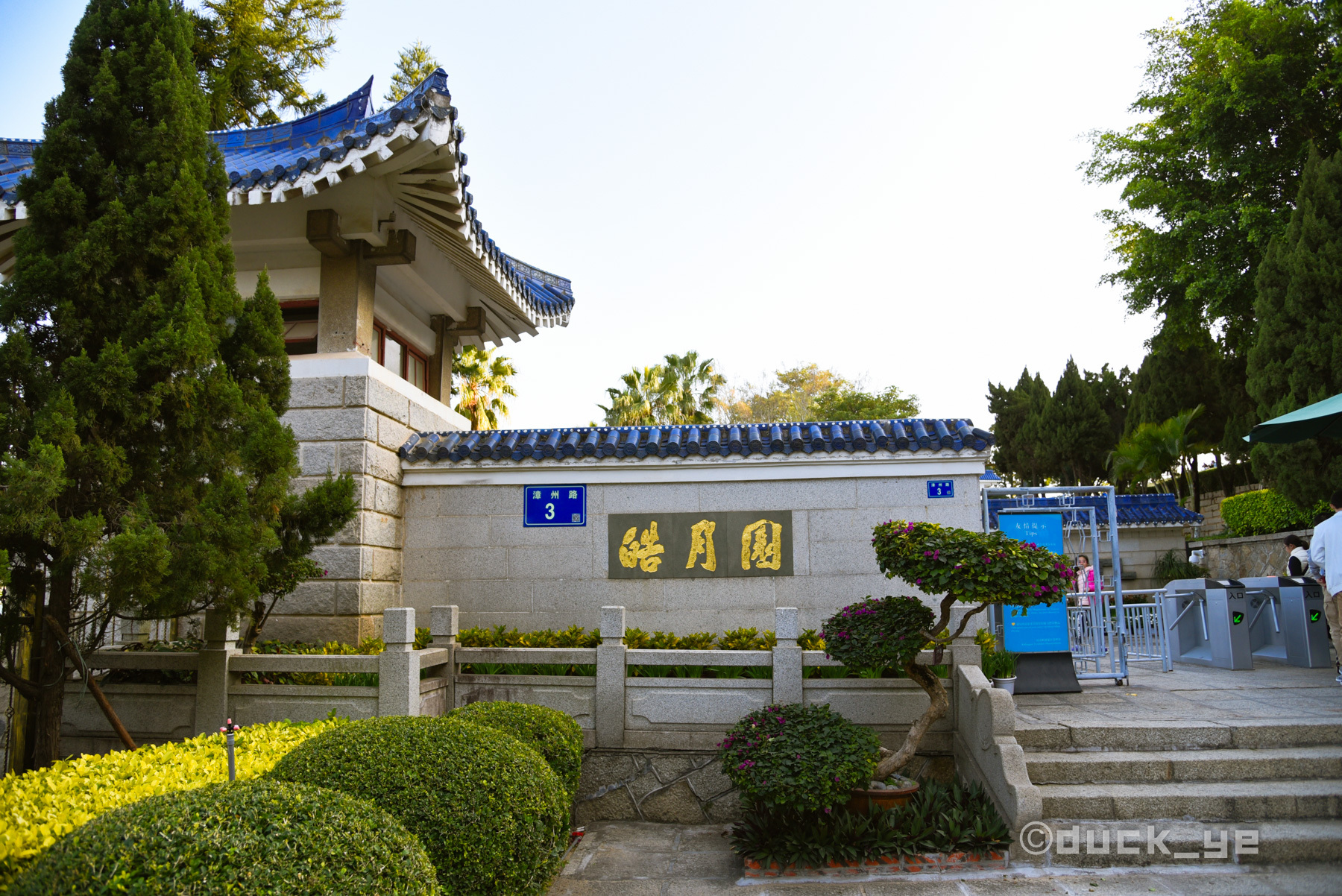 厦门本地人鼓浪屿旅游攻略,本地人带游客去鼓浪屿去哪个码头