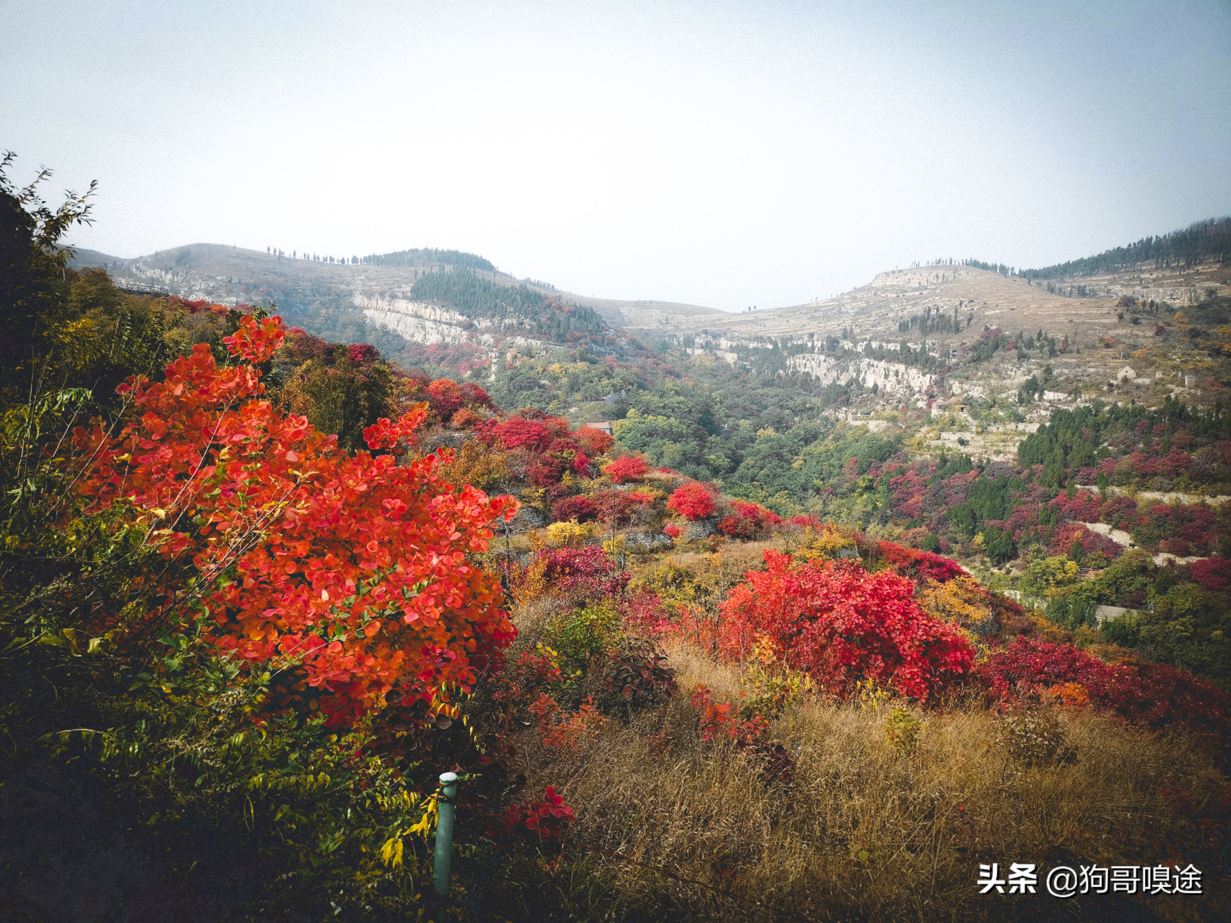 淄博山里的风景区,淄博避暑的好去处张店