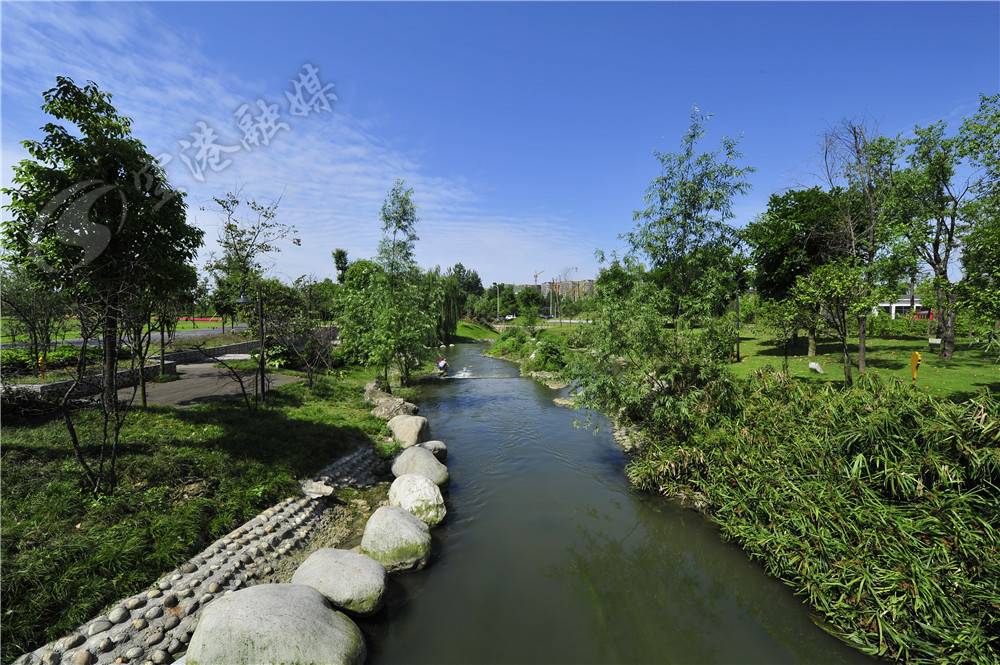 来了成都到底有多美,没想到双流也有如此好的景色了