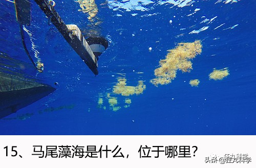 爱迪生出的入职考试，25个人里只有1个能通过，你能答对几题？