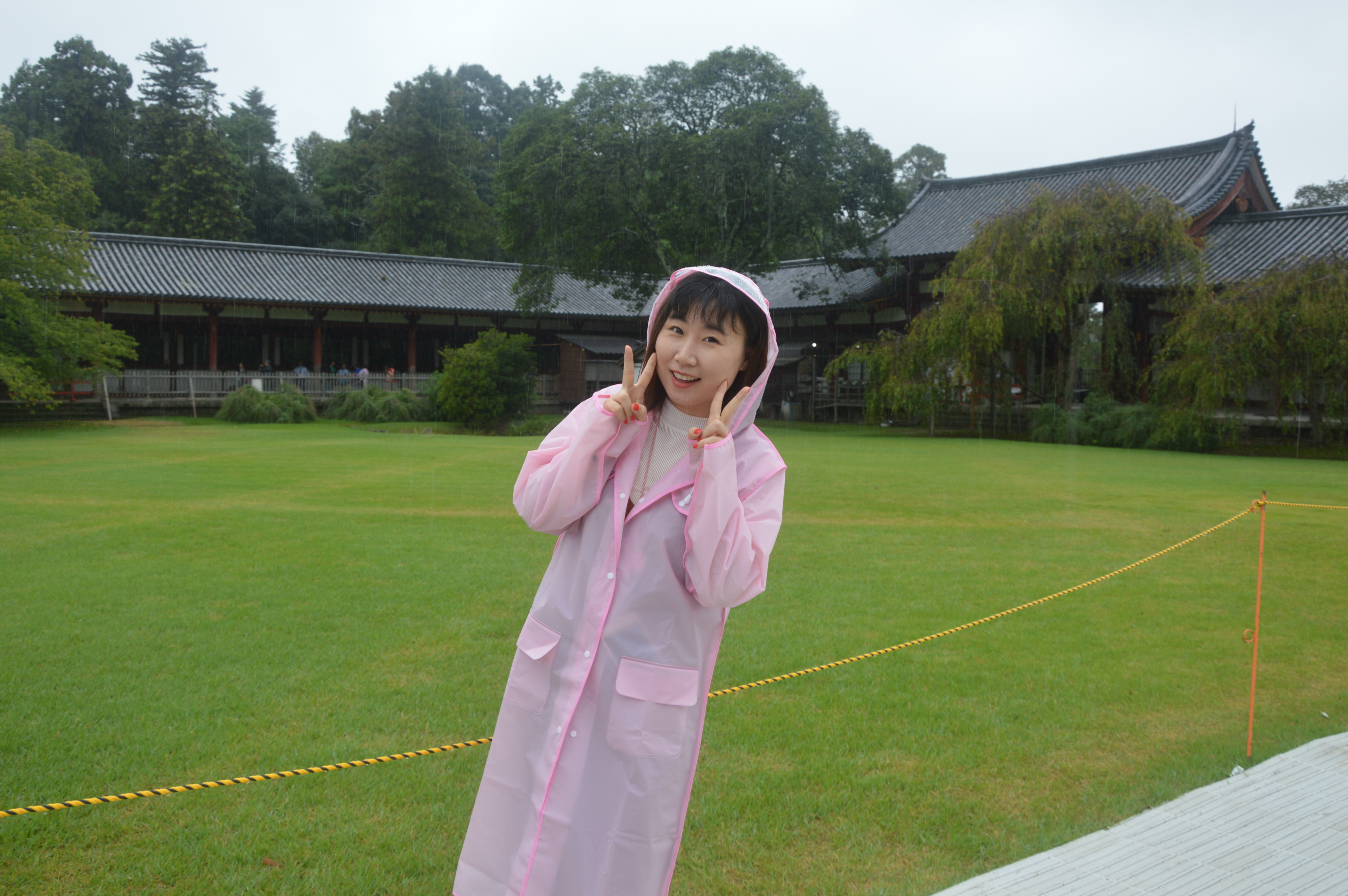 日本本州七日游,日本本州游记