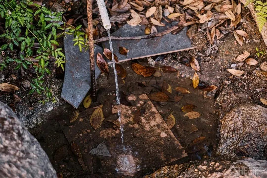 深圳首条手作“原始登山道”，人少好爬景色超美…过年去哪不用愁