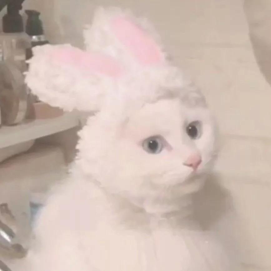 浪漫超甜情话短句100句,又甜又撩人的情话简短